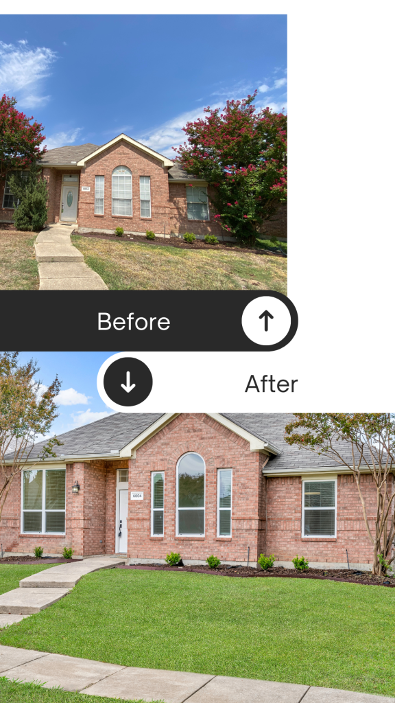 Front-Yard